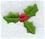 Holly (Miniature)